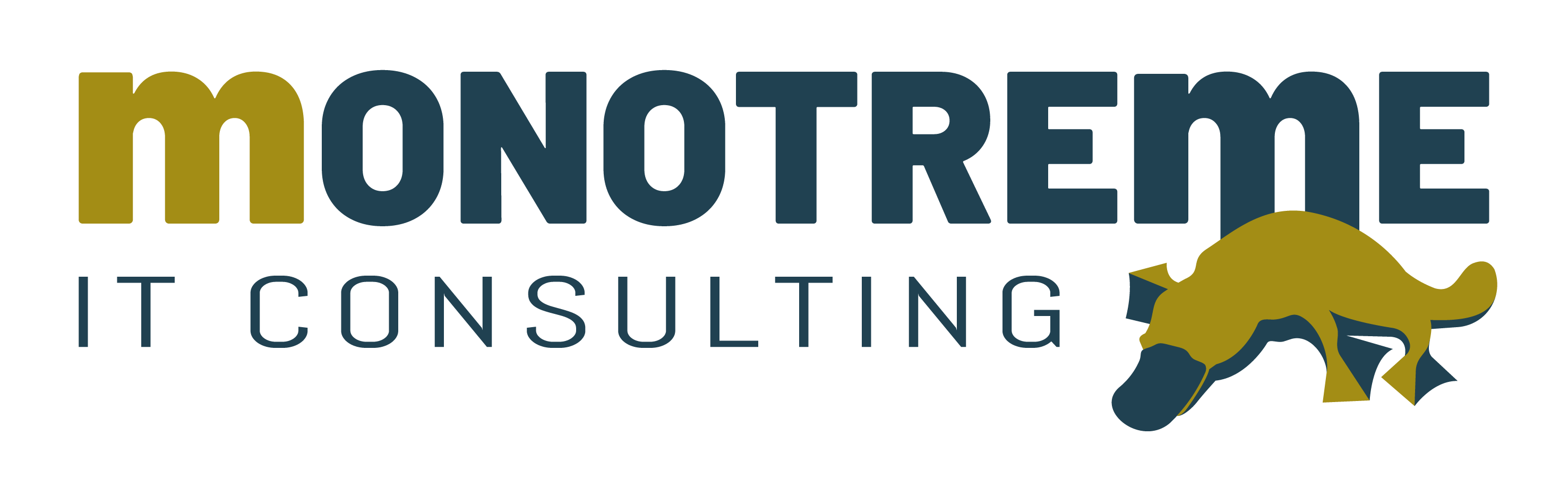 Monotreme IT Consulting GmbH